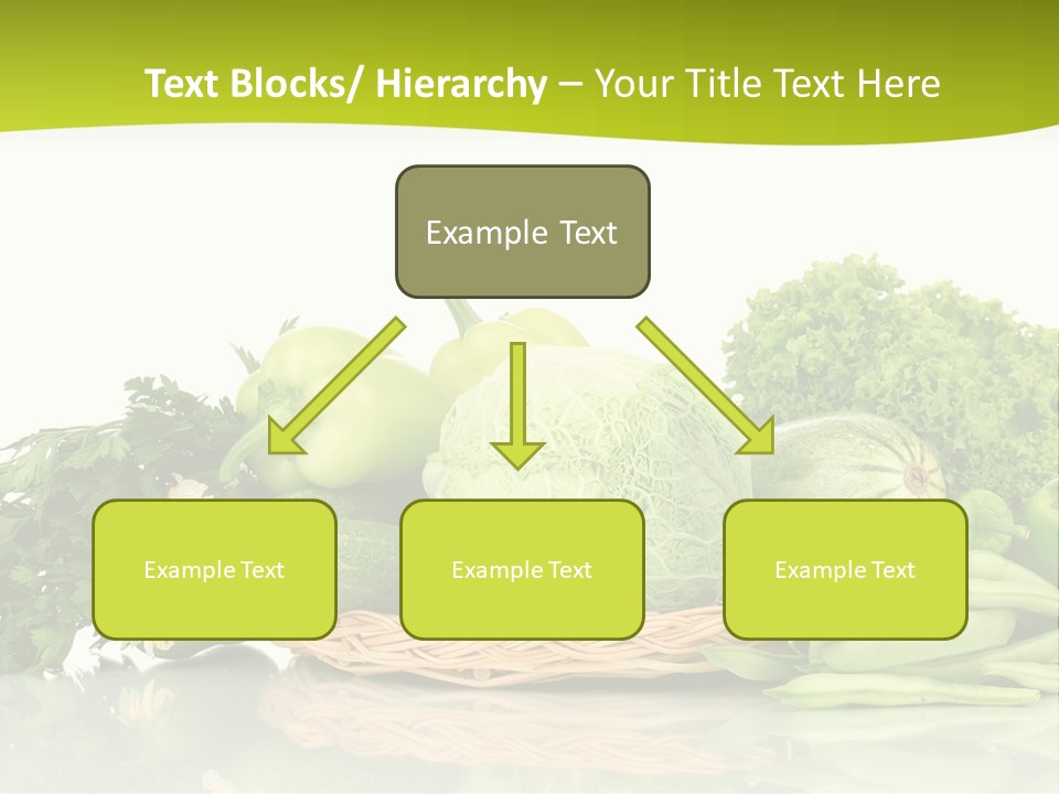 Lifestyle Lightweight Bean PowerPoint Template