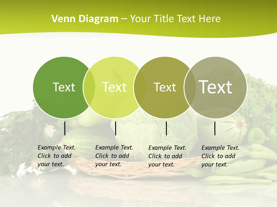 Lifestyle Lightweight Bean PowerPoint Template