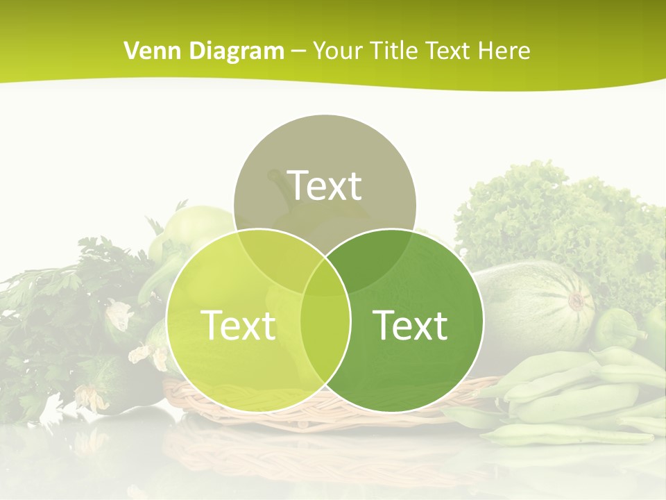 Lifestyle Lightweight Bean PowerPoint Template