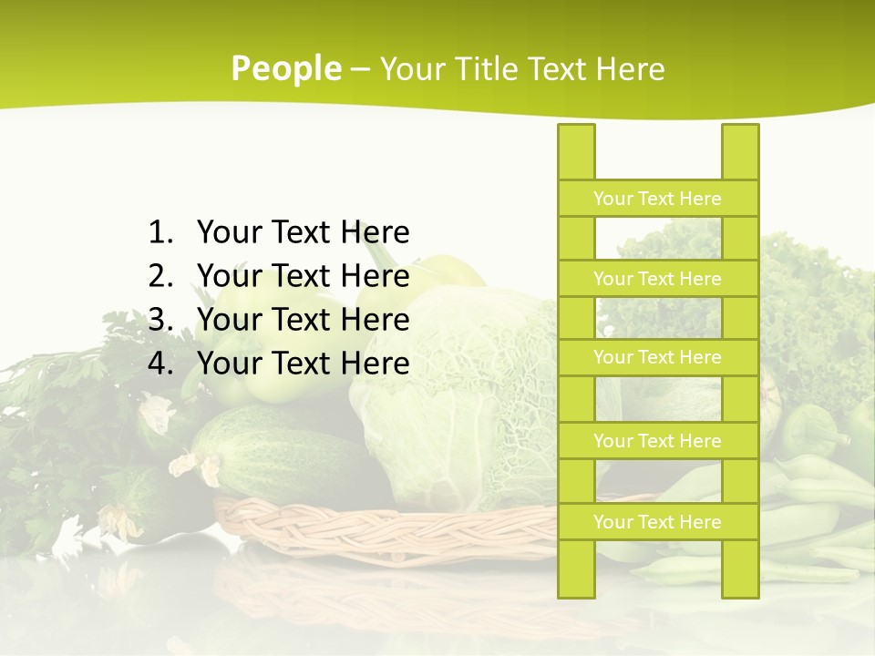 Lifestyle Lightweight Bean PowerPoint Template