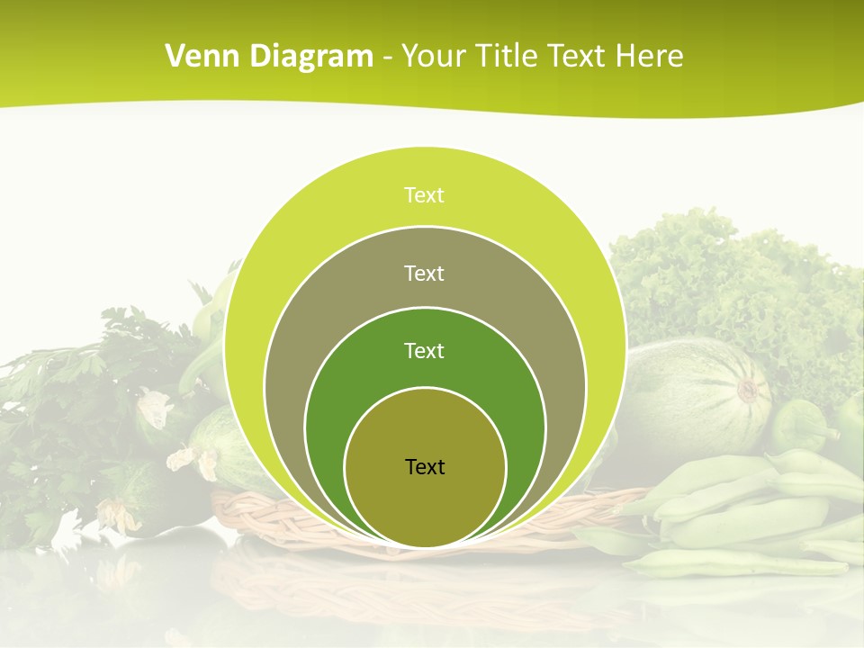 Lifestyle Lightweight Bean PowerPoint Template