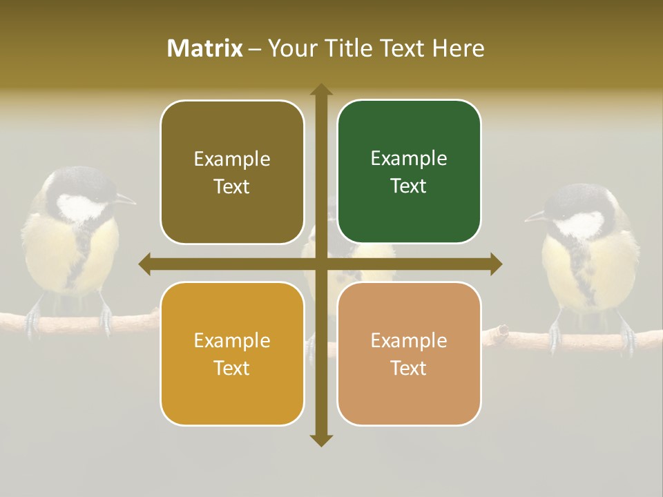 Bird Bird Life Small PowerPoint Template