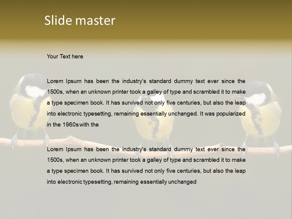 Bird Bird Life Small PowerPoint Template