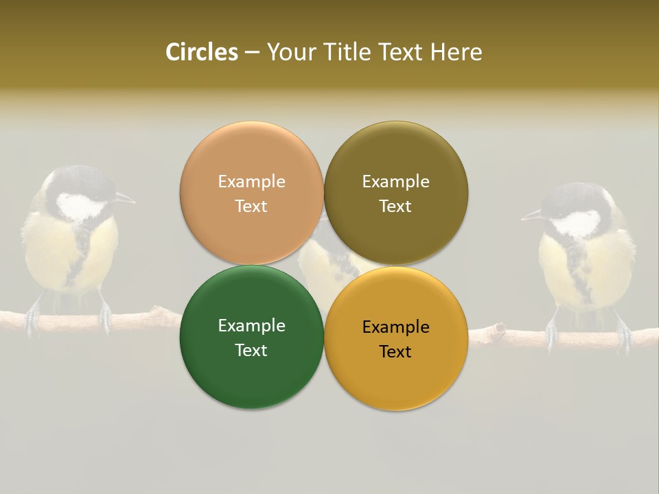 Bird Bird Life Small PowerPoint Template