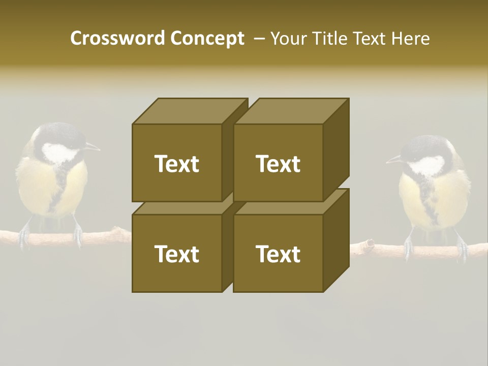 Bird Bird Life Small PowerPoint Template