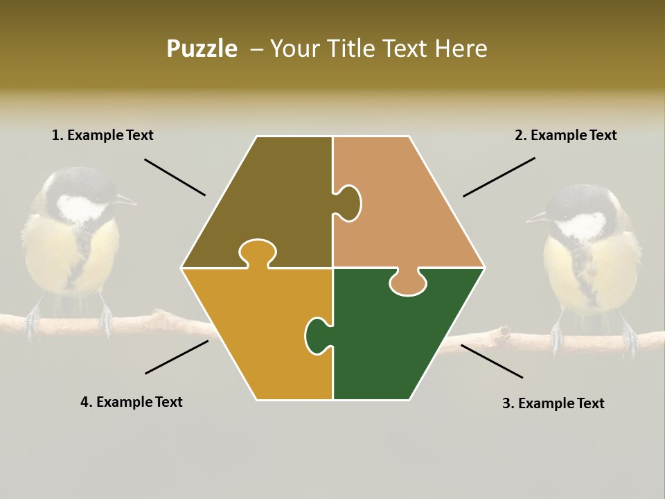 Bird Bird Life Small PowerPoint Template