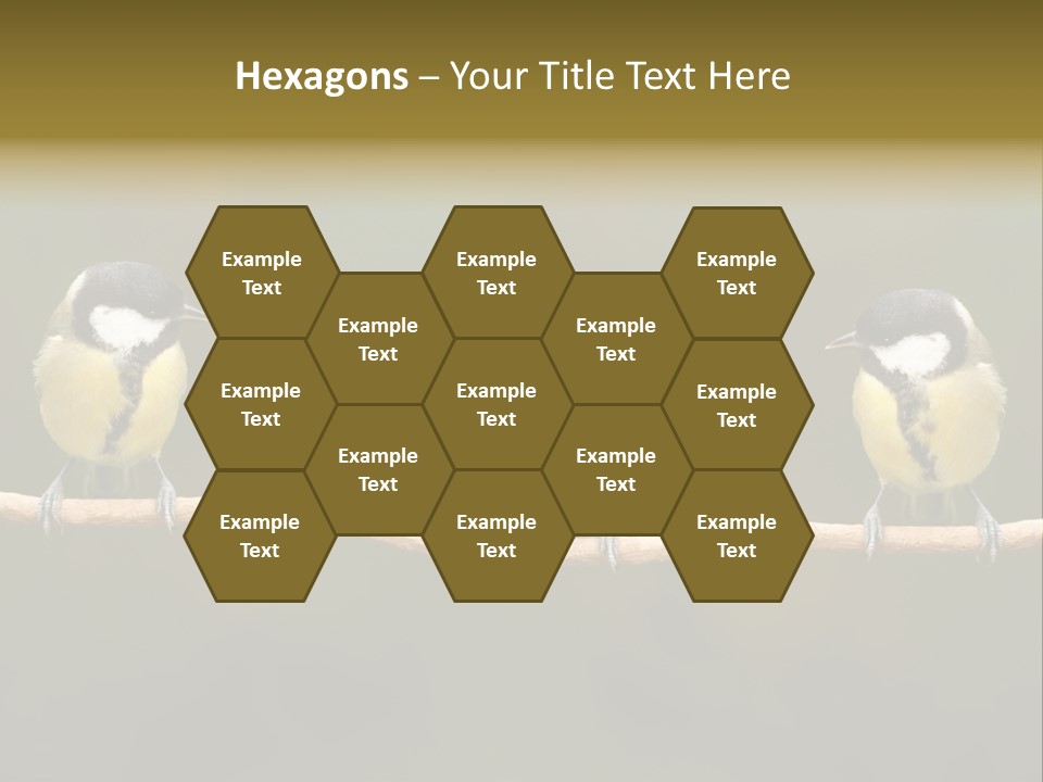 Bird Bird Life Small PowerPoint Template