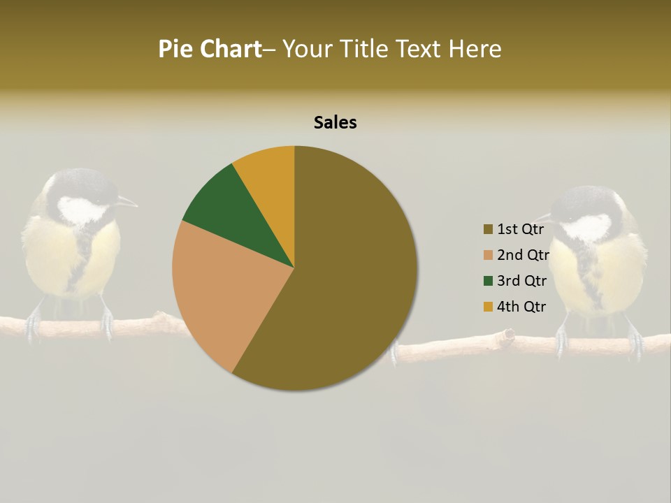 Bird Bird Life Small PowerPoint Template