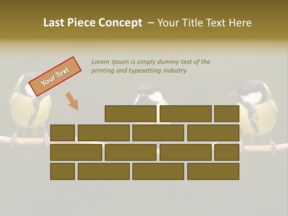 Bird Bird Life Small PowerPoint Template