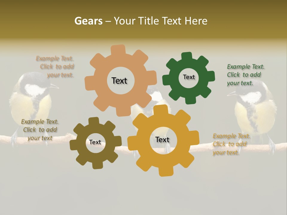 Bird Bird Life Small PowerPoint Template