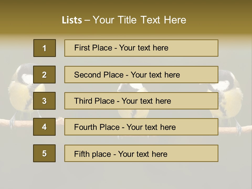 Bird Bird Life Small PowerPoint Template