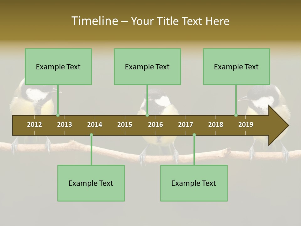 Bird Bird Life Small PowerPoint Template