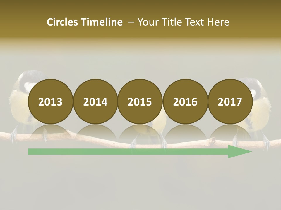 Bird Bird Life Small PowerPoint Template