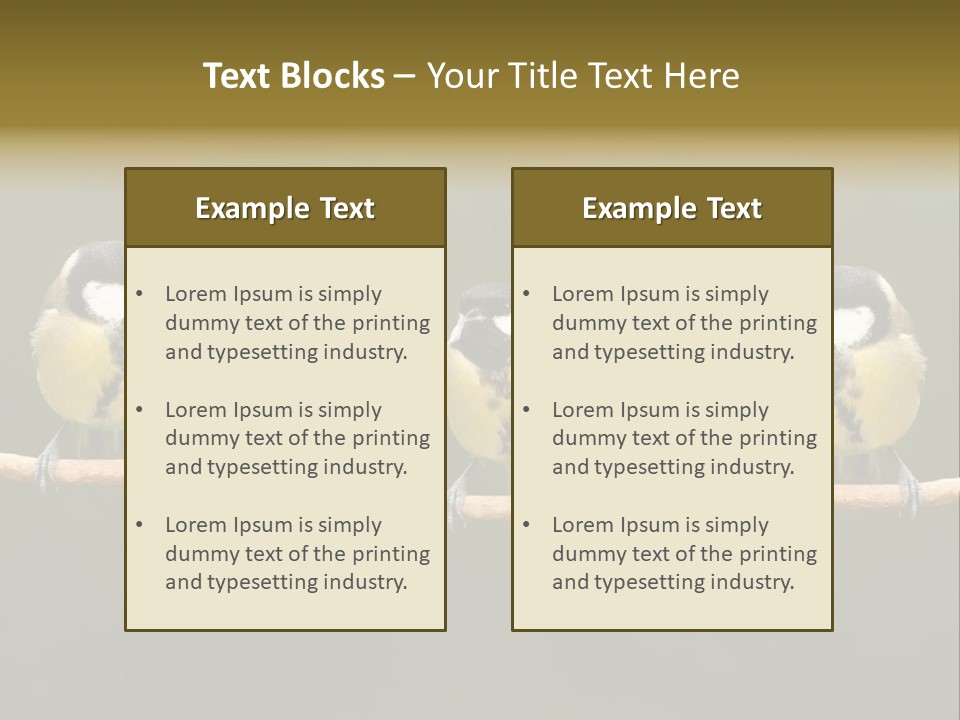 Bird Bird Life Small PowerPoint Template