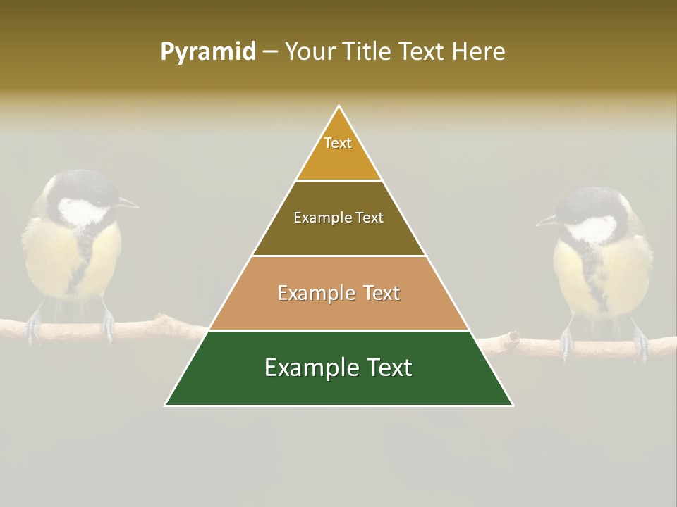 Bird Bird Life Small PowerPoint Template