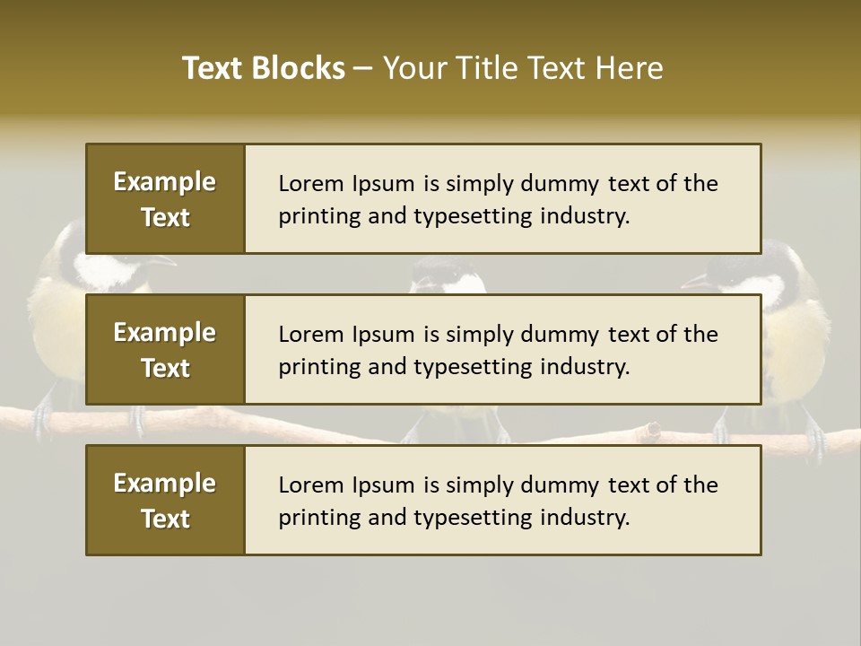 Bird Bird Life Small PowerPoint Template