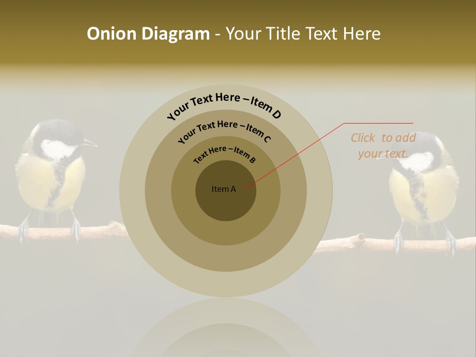 Bird Bird Life Small PowerPoint Template