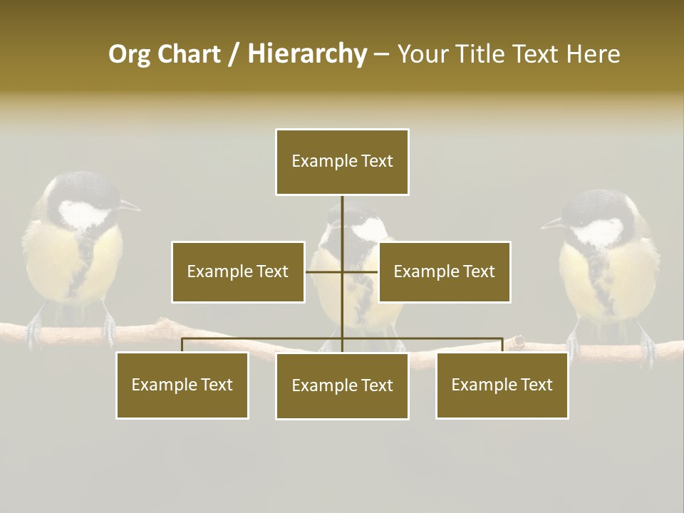 Bird Bird Life Small PowerPoint Template