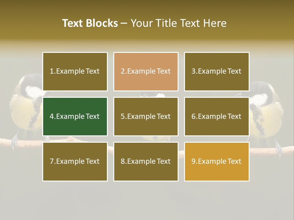 Bird Bird Life Small PowerPoint Template