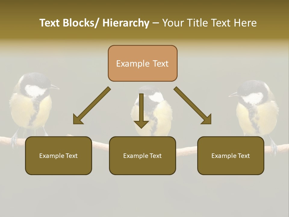 Bird Bird Life Small PowerPoint Template