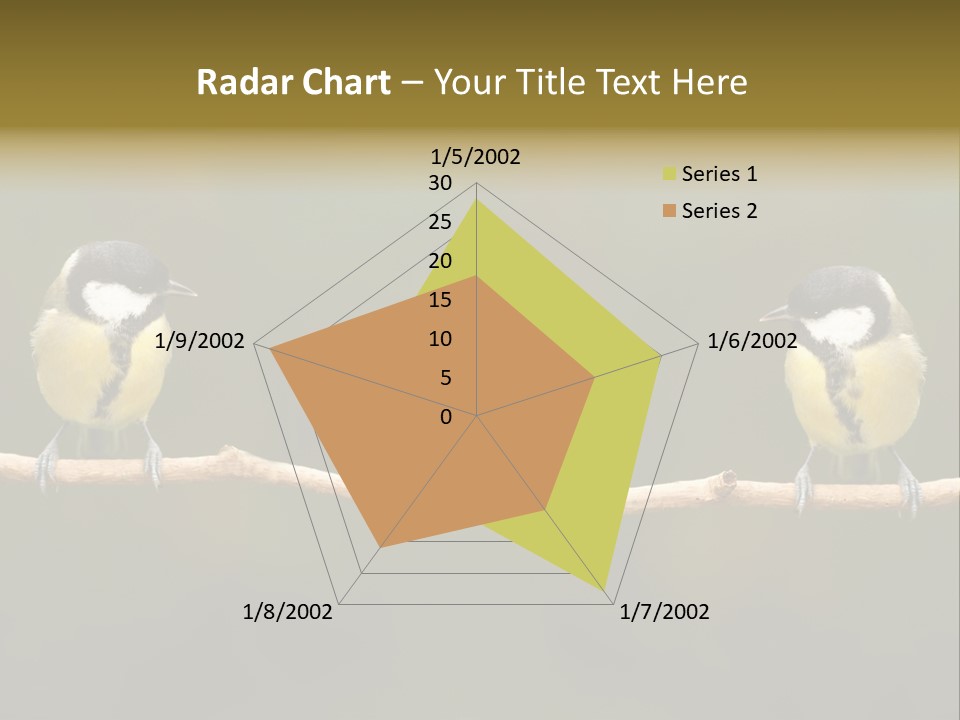 Bird Bird Life Small PowerPoint Template