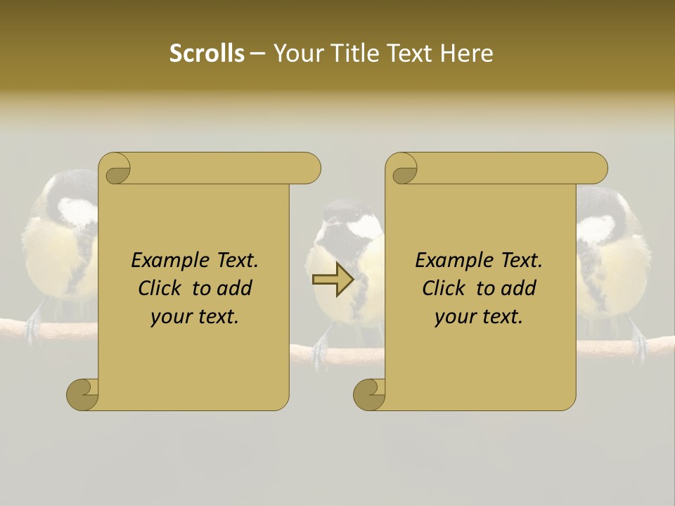 Bird Bird Life Small PowerPoint Template