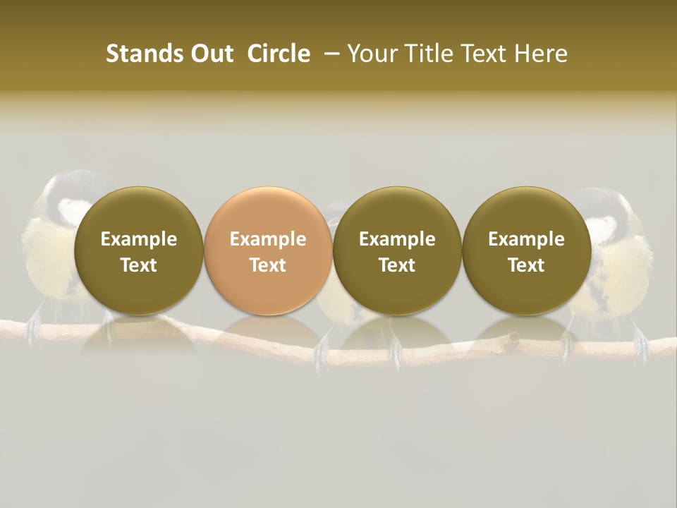 Bird Bird Life Small PowerPoint Template