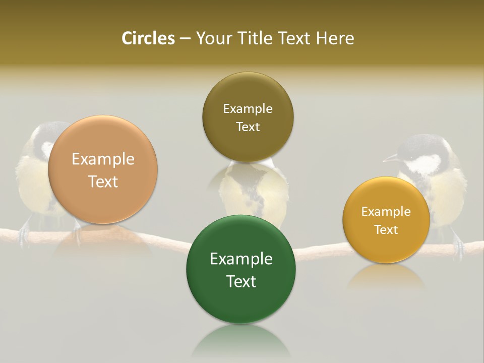 Bird Bird Life Small PowerPoint Template