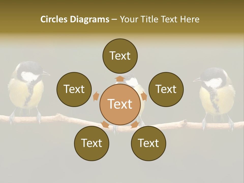 Bird Bird Life Small PowerPoint Template