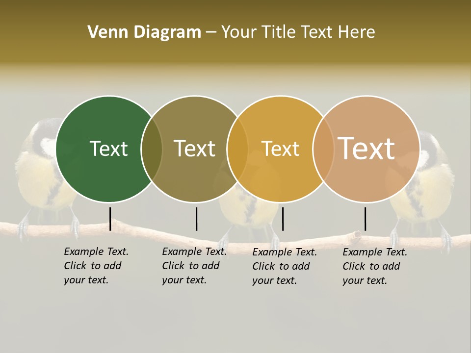 Bird Bird Life Small PowerPoint Template