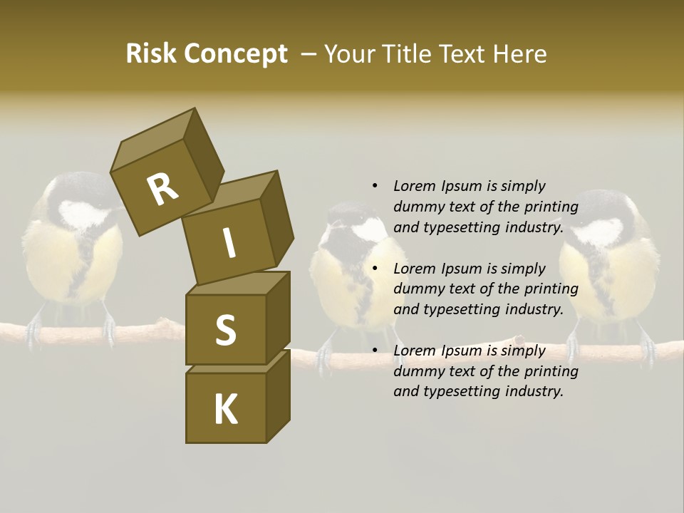 Bird Bird Life Small PowerPoint Template