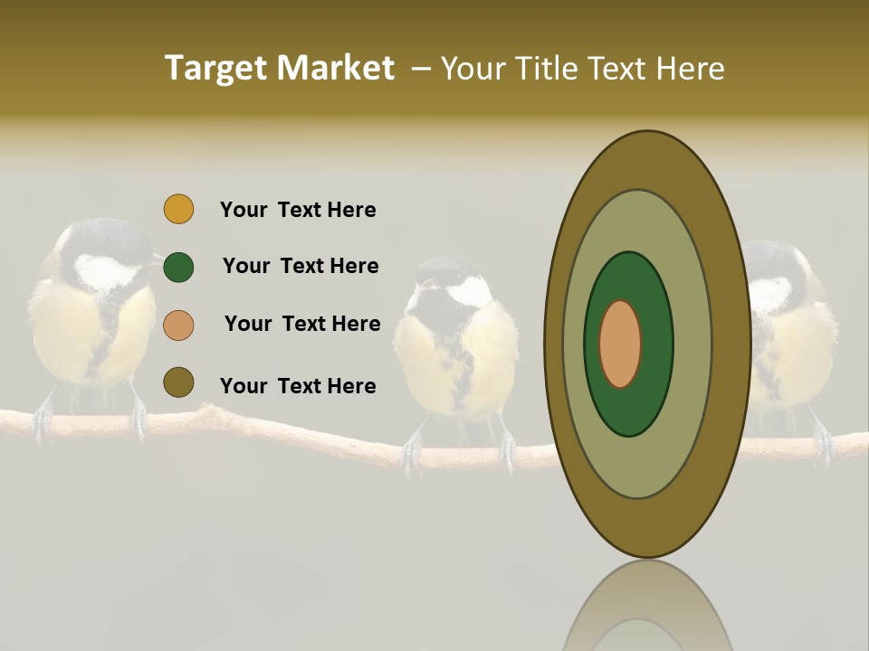 Bird Bird Life Small PowerPoint Template