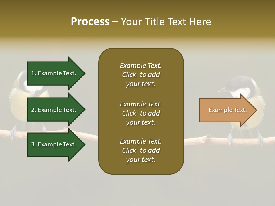 Bird Bird Life Small PowerPoint Template