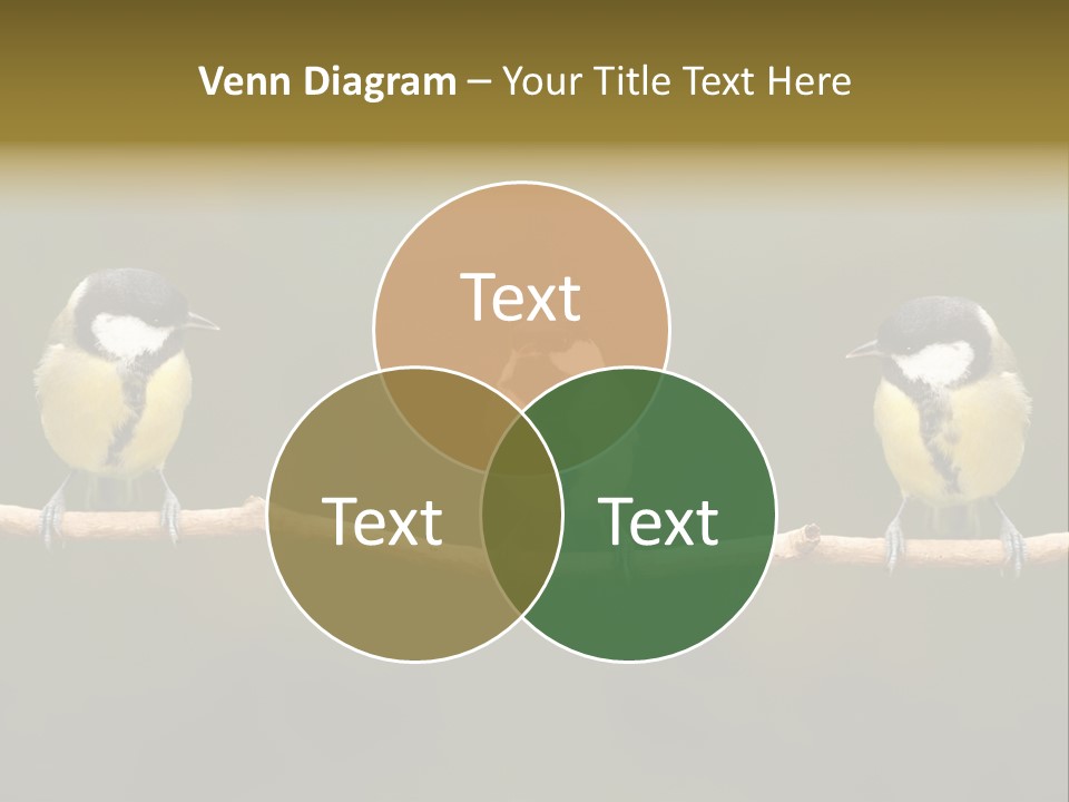 Bird Bird Life Small PowerPoint Template