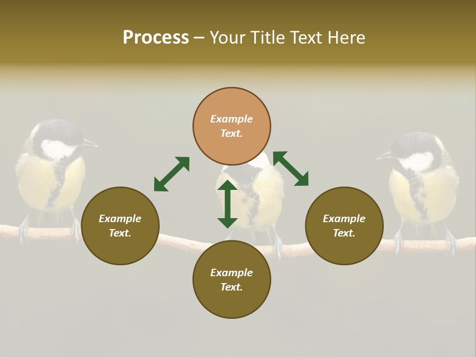 Bird Bird Life Small PowerPoint Template