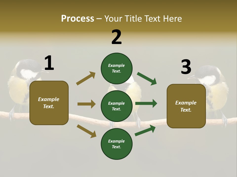 Bird Bird Life Small PowerPoint Template