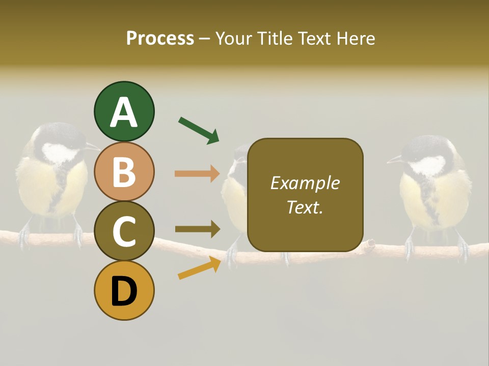 Bird Bird Life Small PowerPoint Template