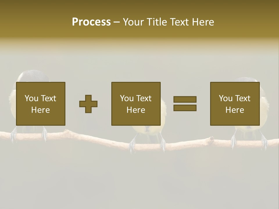 Bird Bird Life Small PowerPoint Template