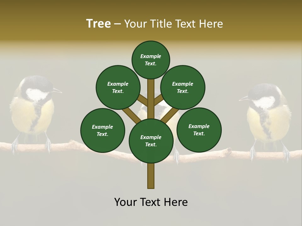 Bird Bird Life Small PowerPoint Template