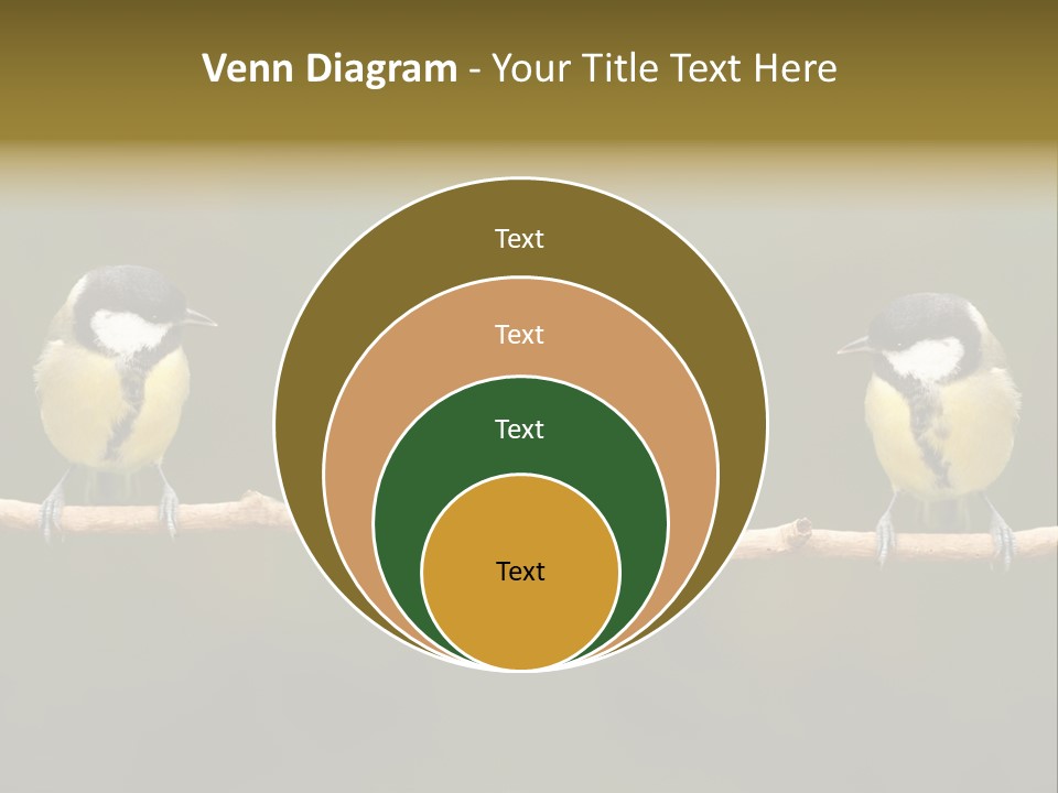 Bird Bird Life Small PowerPoint Template