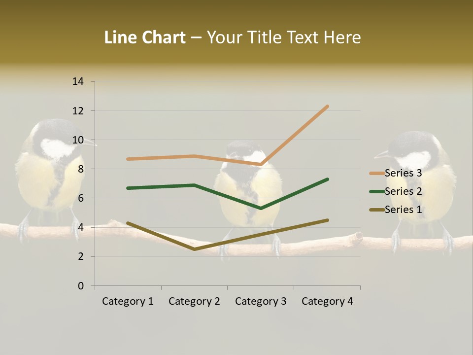 Bird Bird Life Small PowerPoint Template