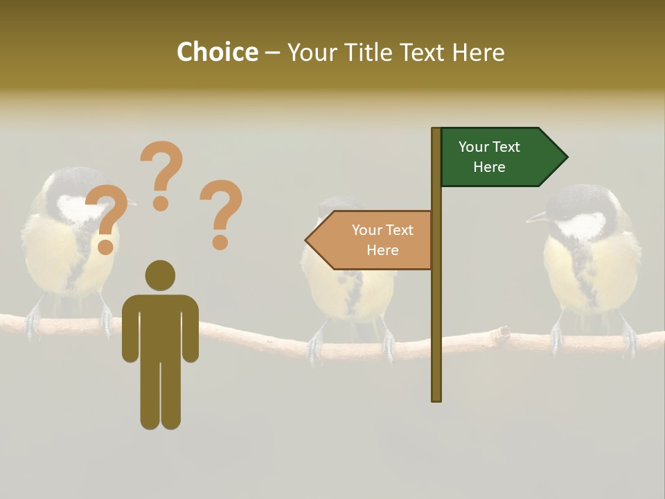 Bird Bird Life Small PowerPoint Template