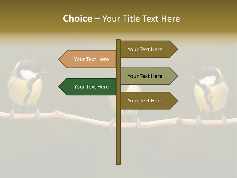 Bird Bird Life Small PowerPoint Template