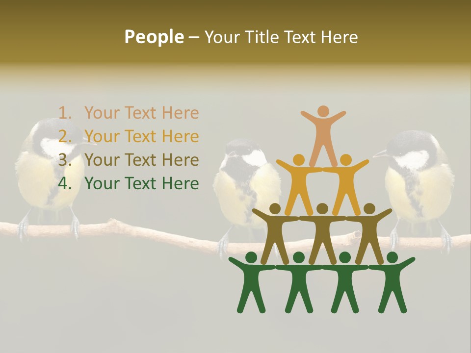 Bird Bird Life Small PowerPoint Template