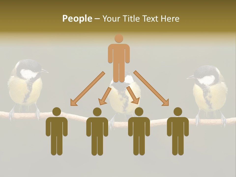 Bird Bird Life Small PowerPoint Template