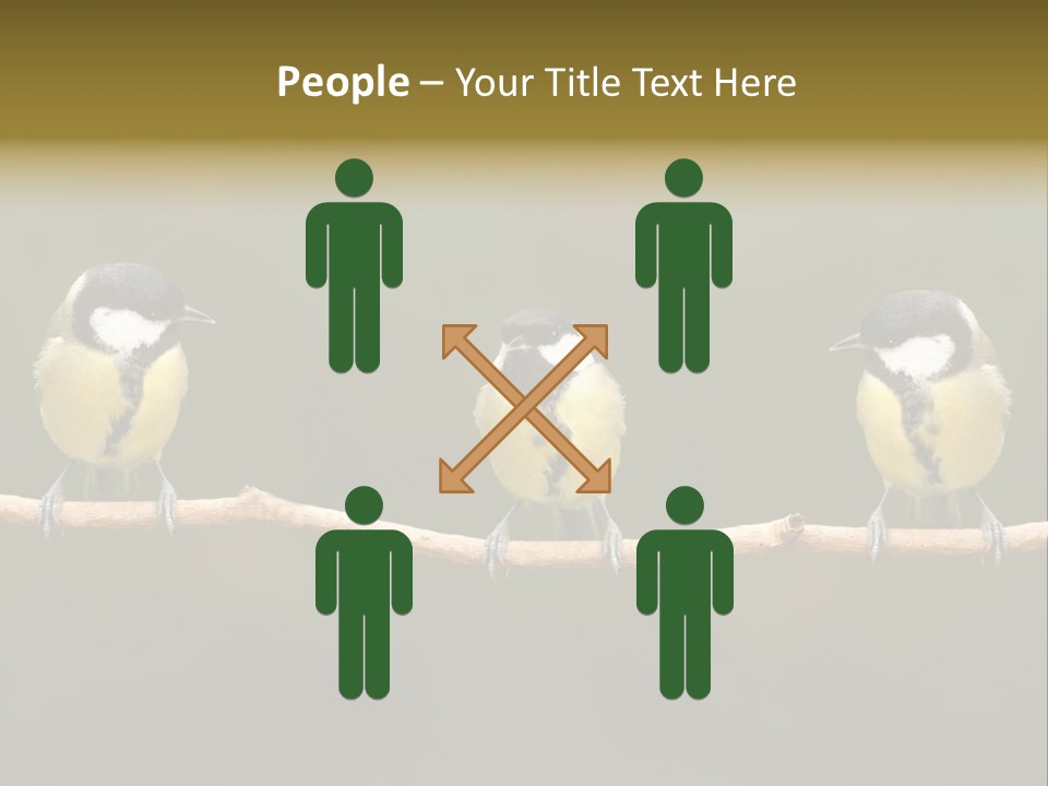 Bird Bird Life Small PowerPoint Template