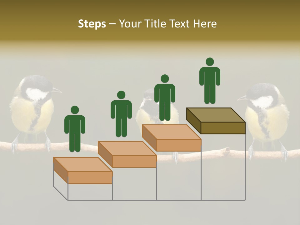 Bird Bird Life Small PowerPoint Template