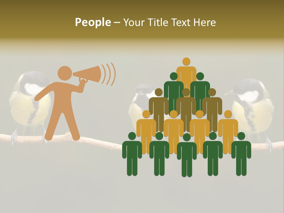 Bird Bird Life Small PowerPoint Template