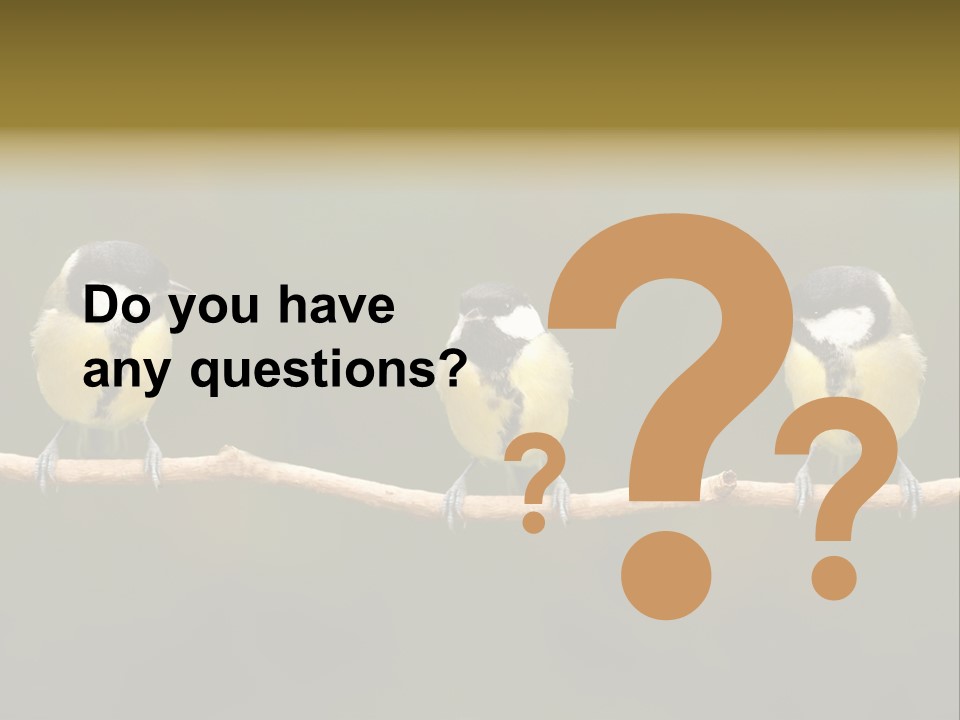 Bird Bird Life Small PowerPoint Template