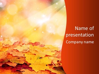 Nature Outdoors Natural PowerPoint Template